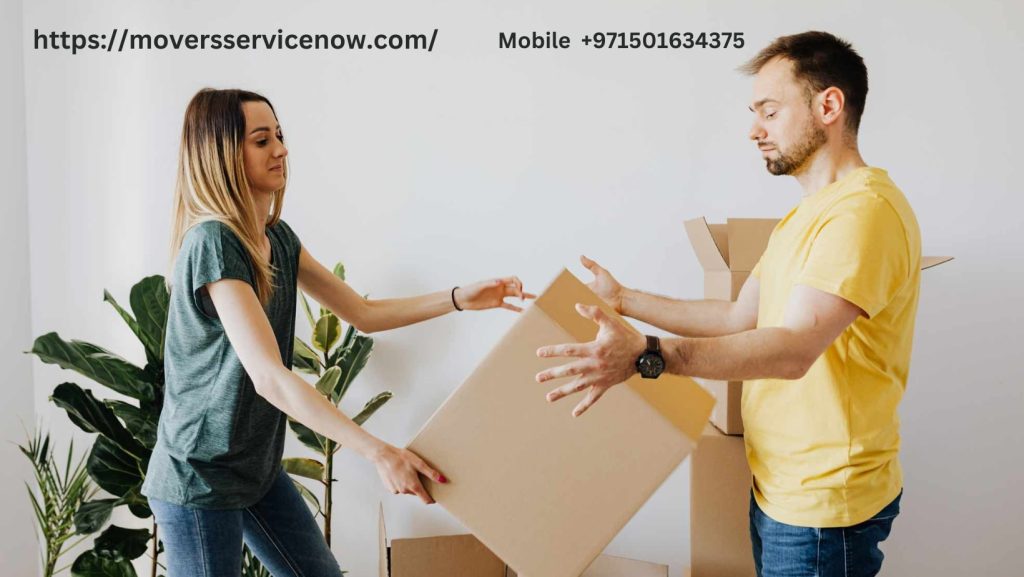villa movers and packers in Dubai